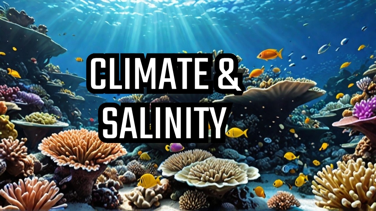 How Ocean Salinity Shapes Climate & Marine Life | The Science of Salt in Our Oceans