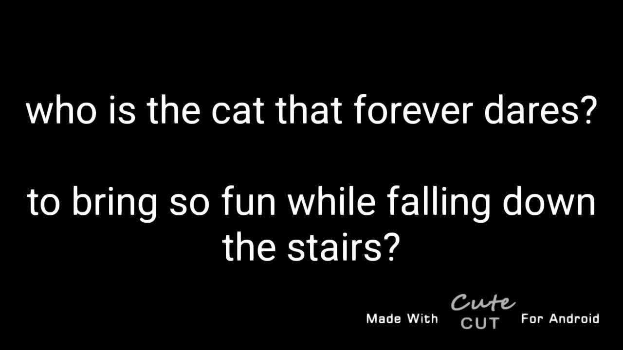 Calling Cat 22 Theme Song (Lyrics)