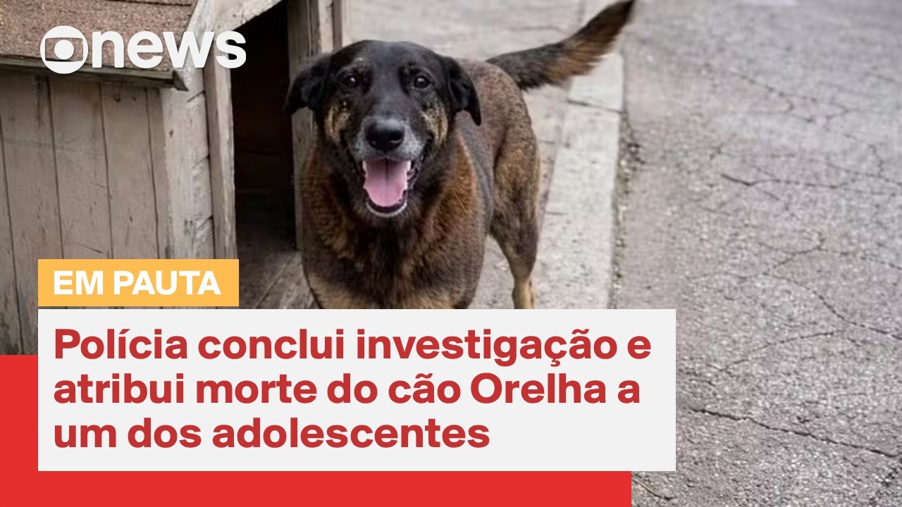 Polícia de SC conclui investigação e atribui morte do cão Orelha a um dos adolescentes