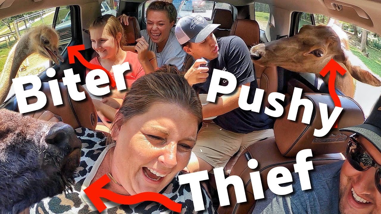 Ostrich Bites and Hilarious Animal Park Trip