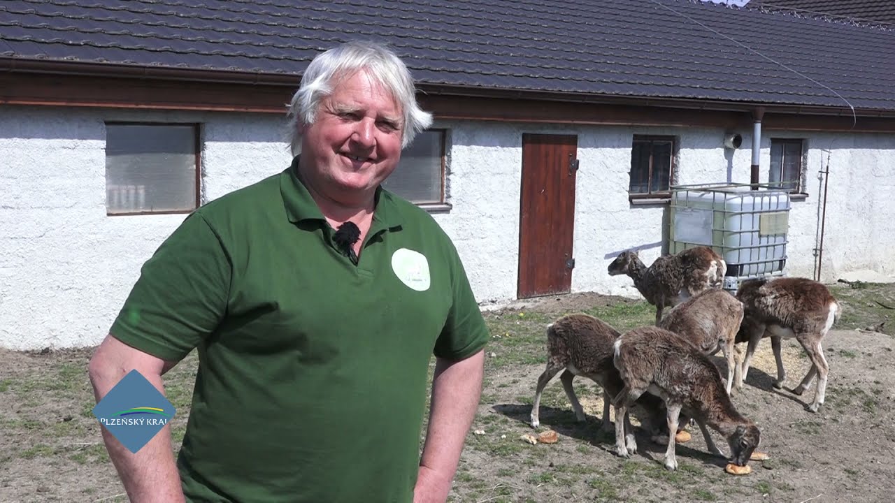 TIP NA V&Yacute;LET: Naučn&aacute; stezka Bijadla v Merkl&iacute;ně