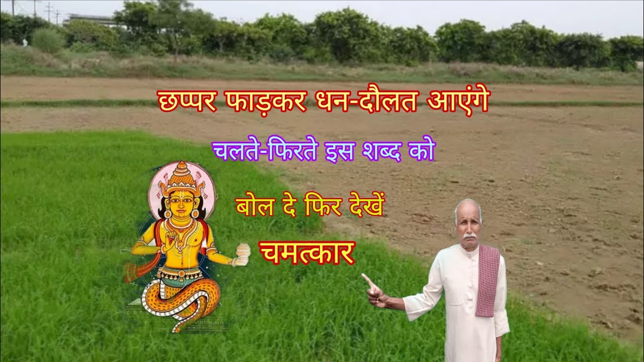 छप्पर फाड़ कर धन बरसानें वाला करोड़पति बनाने वाला एक बार आजमाकर देखें 