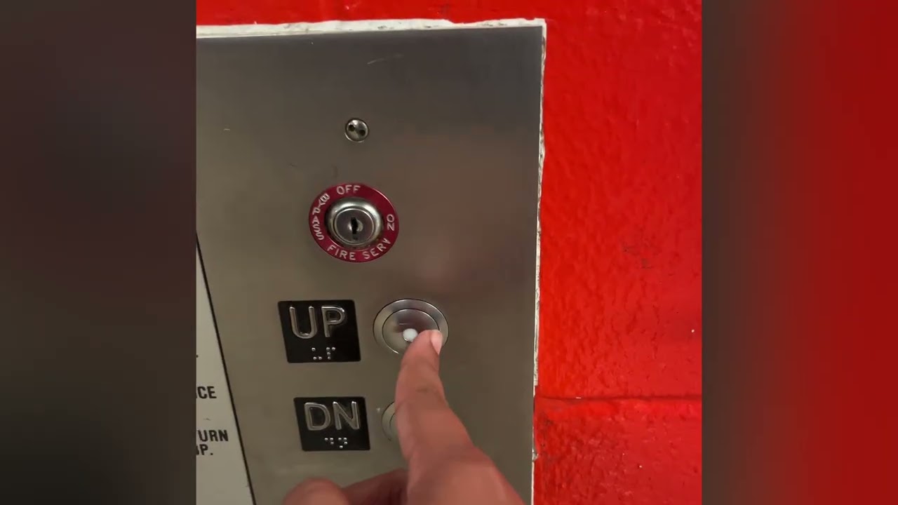 The Elevator chimes 2025-2026￼