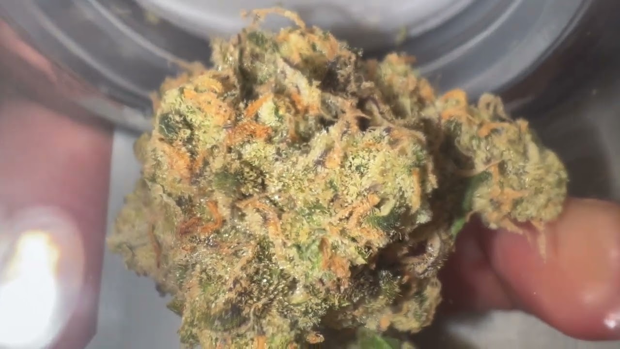 Lucid Blue by Fig Farms