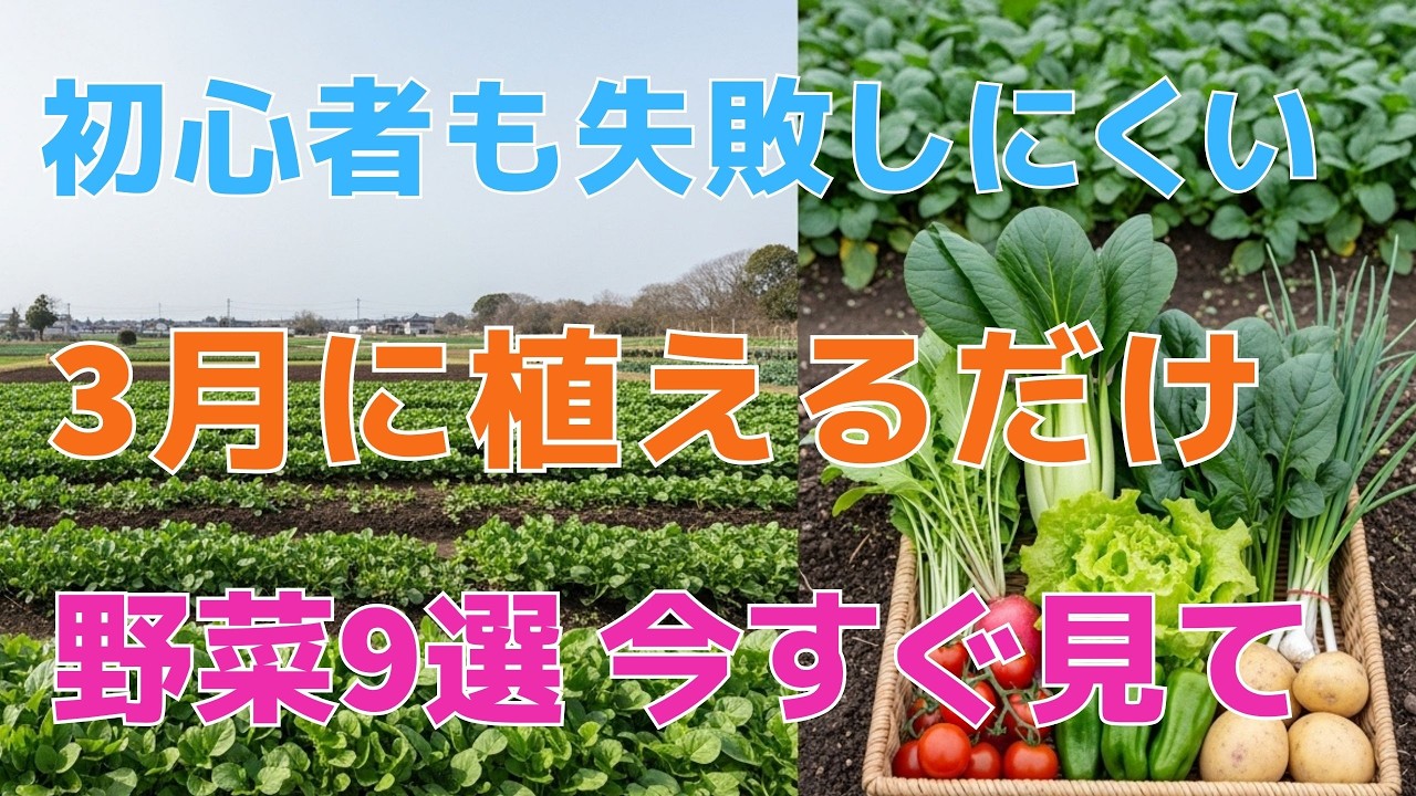 【99%の家庭菜園はこれを知るべき】3月を逃すと大損！初心者が絶対失敗しない最強野菜9選【今すぐ準備して】