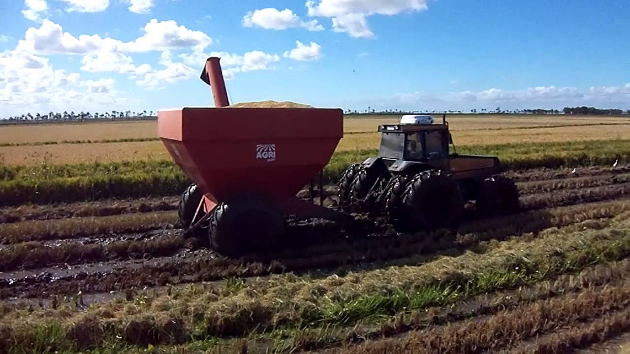 Valtrao 1780 na Agriemc 200 sacos