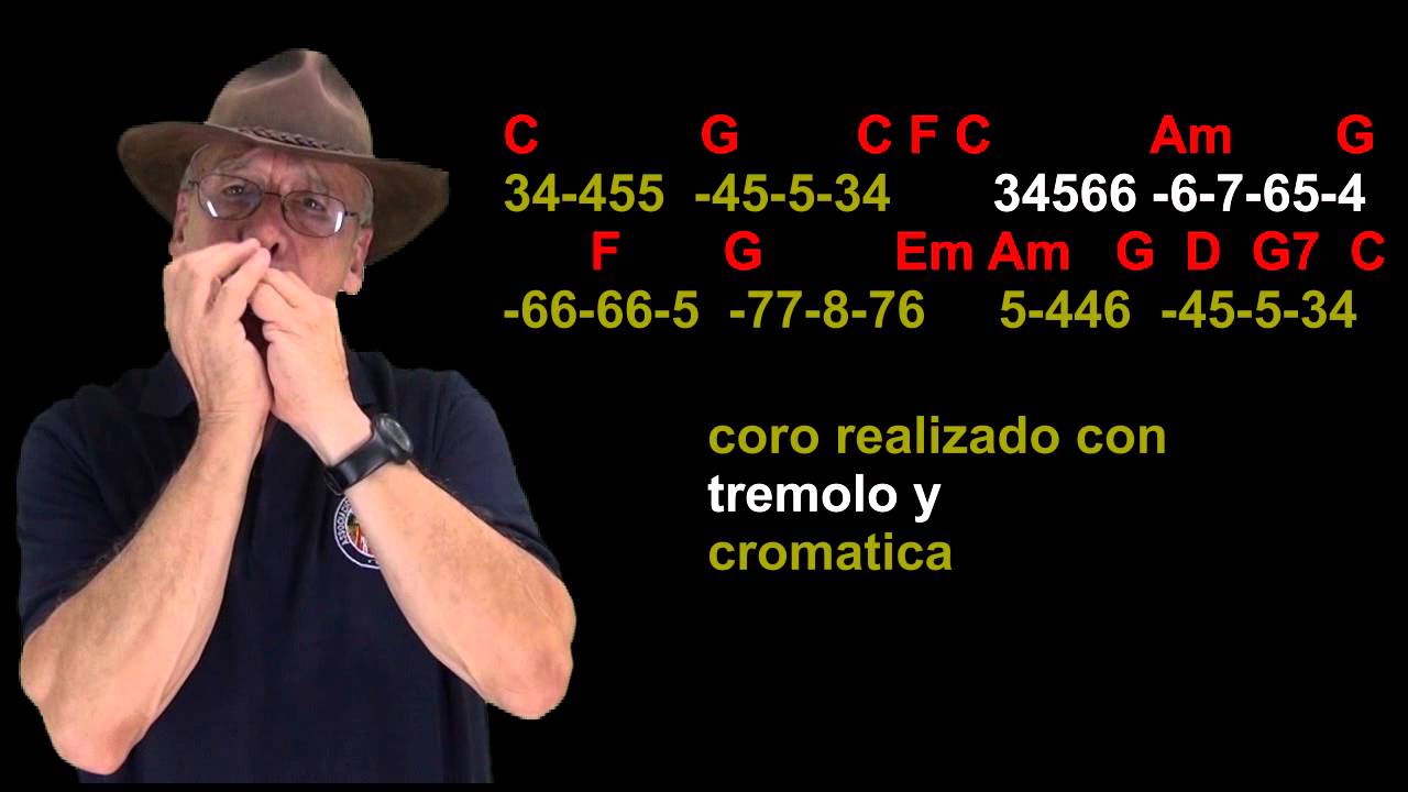 nº 432  When a Child Is Born ( Sara Brightman )tabl.arm.diat.( C ) mundharmonika