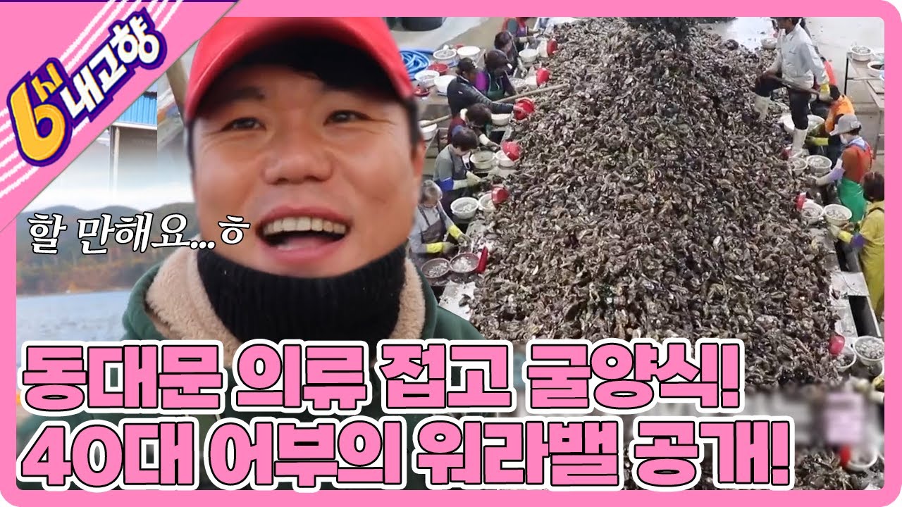 [인생은 행복海] 동대문👕의류 접고 🦪굴양식으로! 🎣40대 어부의 워라밸 공개!! | KBS 221205 방송