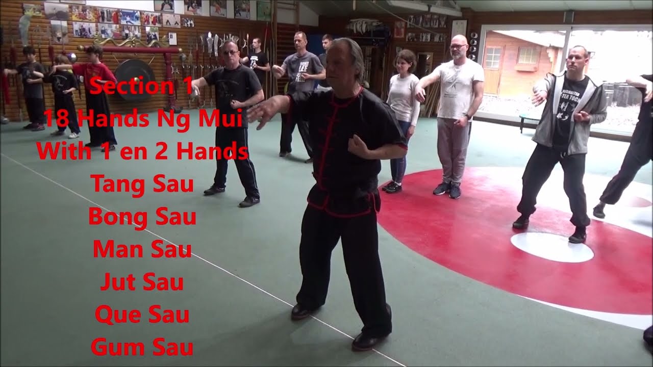 Repeat 18 Hands Ng Mui with 1 and 2 Hands section 1 GM Walter Toch
