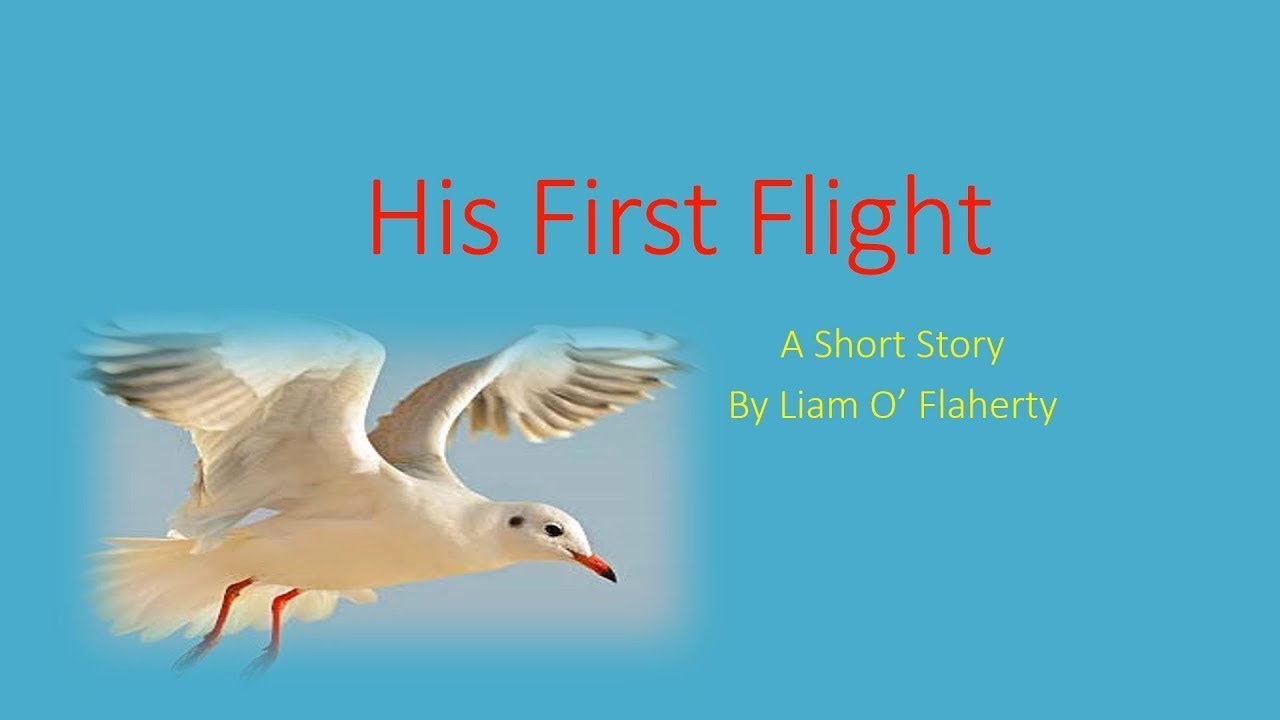 His First Flight   Part 1