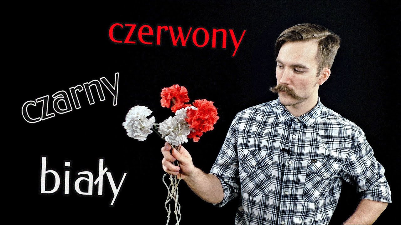 Польский язык. Урок 13. Цвета, дискурсивы, повелительное накл., указательные и отрицательные мест.
