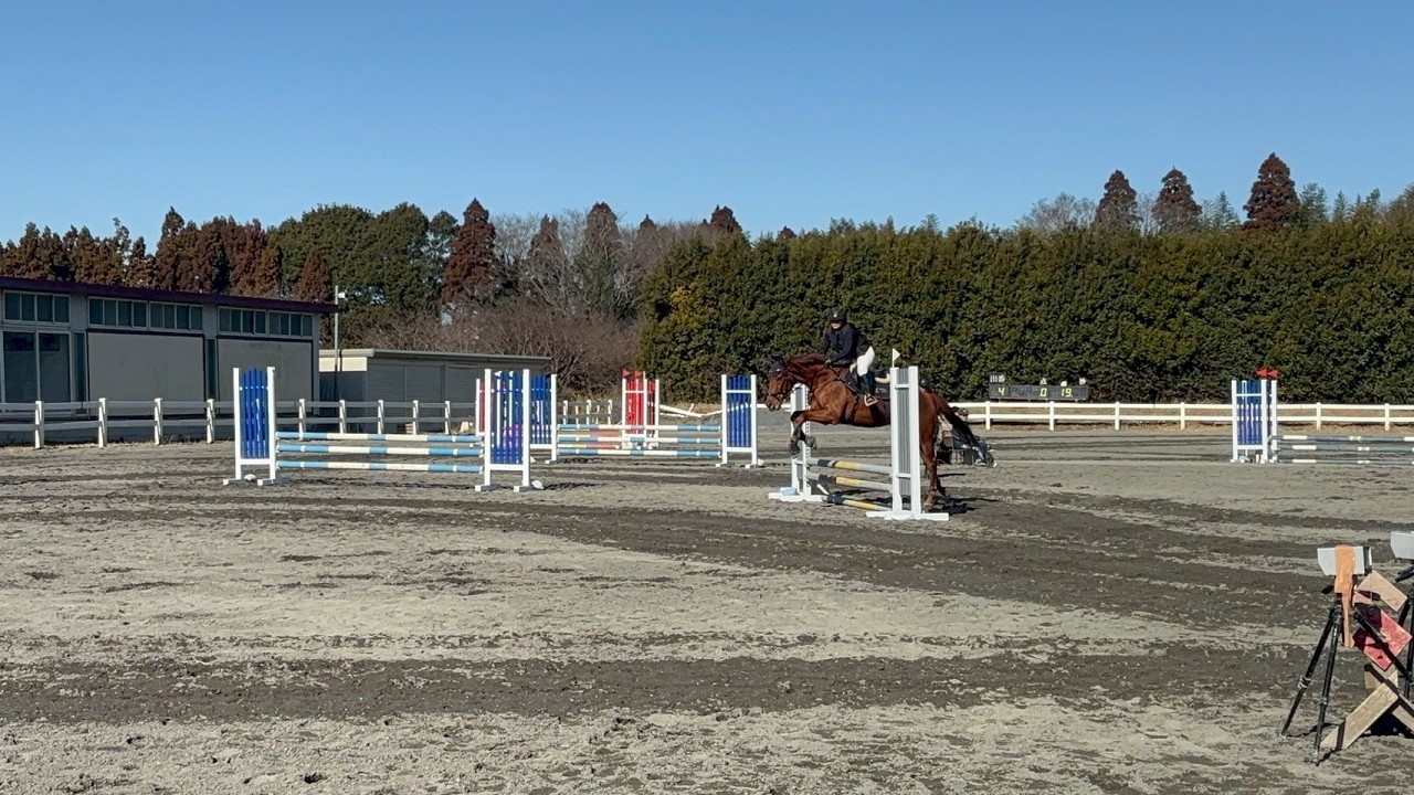 【Nextars Cup[winter]】〈標準障害70〉西村 まどか(大3)・獅桜