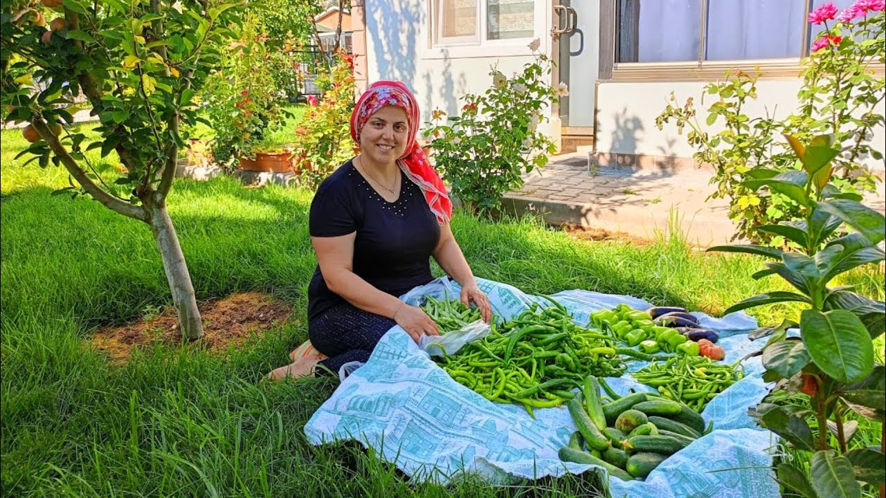 Bahçede Ailece Kahvaltı Yaptık 🤩 Erikleri Topladık 🫢 Kavun karpuz güneşte çatlıyor