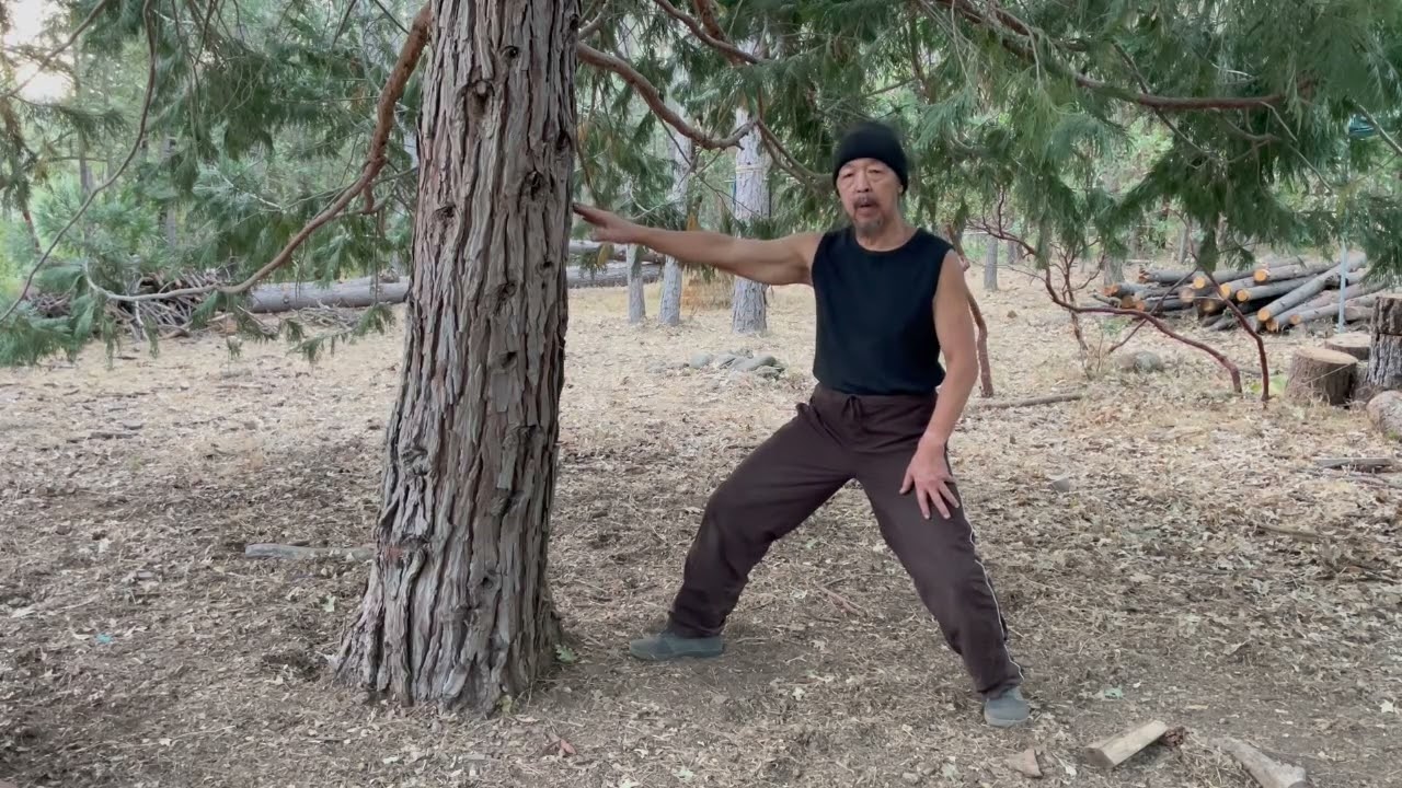 PENG in Kuo Lien Ying's Single Whip