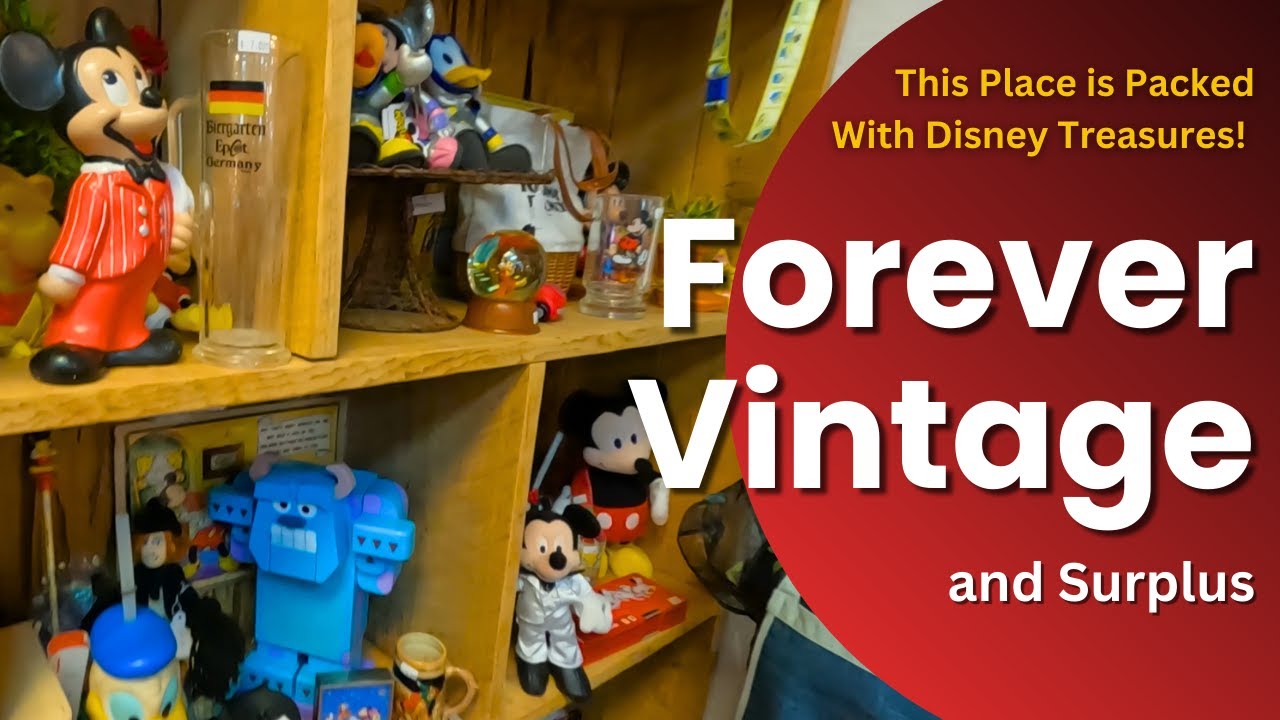 Forever Vintage and Surplus - loaded with Disney Treasures!