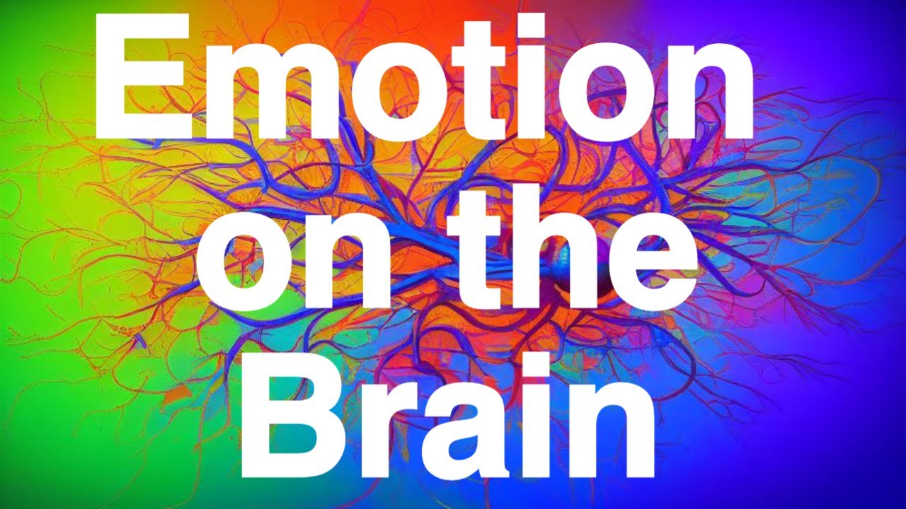 Discover How Social Neuroscience Reveals the Secrets of Our Emotions!