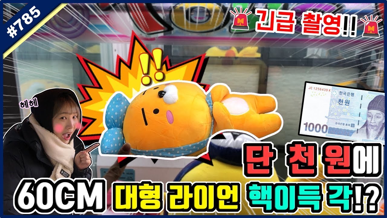 긴급 촬영!! 단 천 원에도 나올 것 같은 60CM 대형 라이언 인형!? 대왕 집게 뽑기에서 핵이득 각이?? (고니두욘몬 20181229) #785