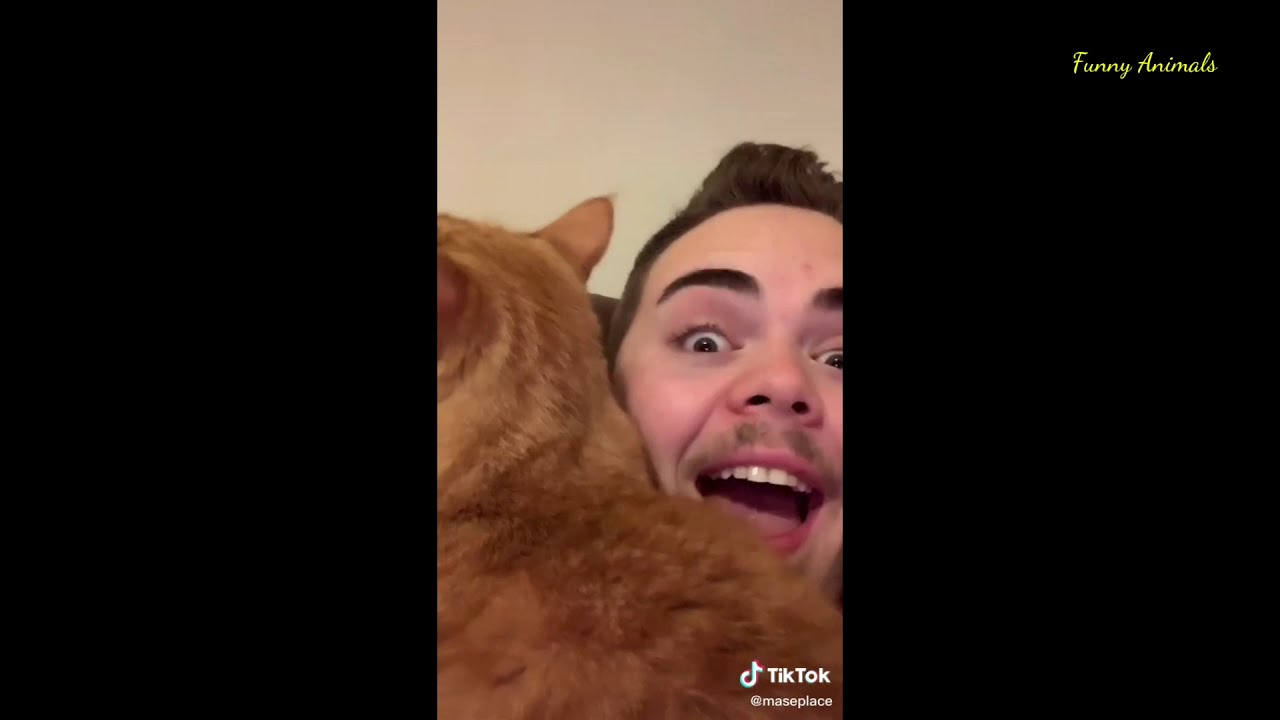 Cooter The Talking Cat Part 2 | Funny Animals | Tiktok