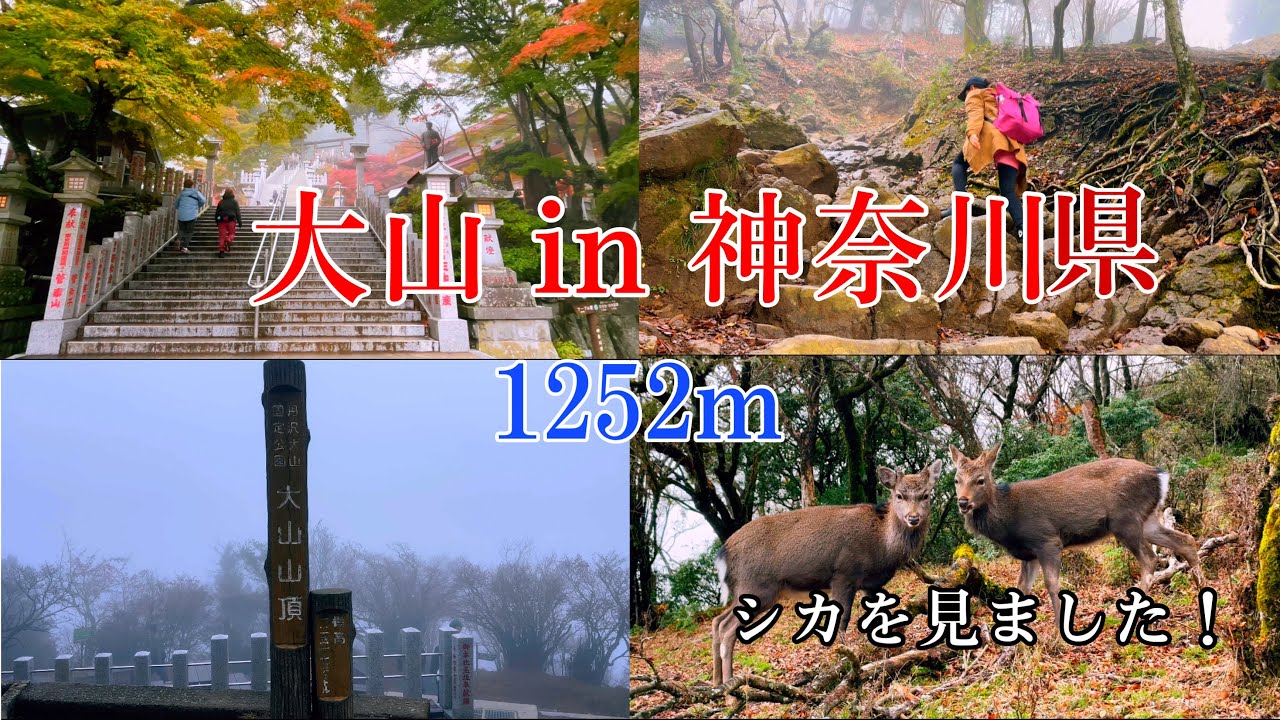 かながわの景勝50選 大山山頂(伊勢原市) / Kanagawa Prefecture's 50 Most Beautiful Scenic Spots