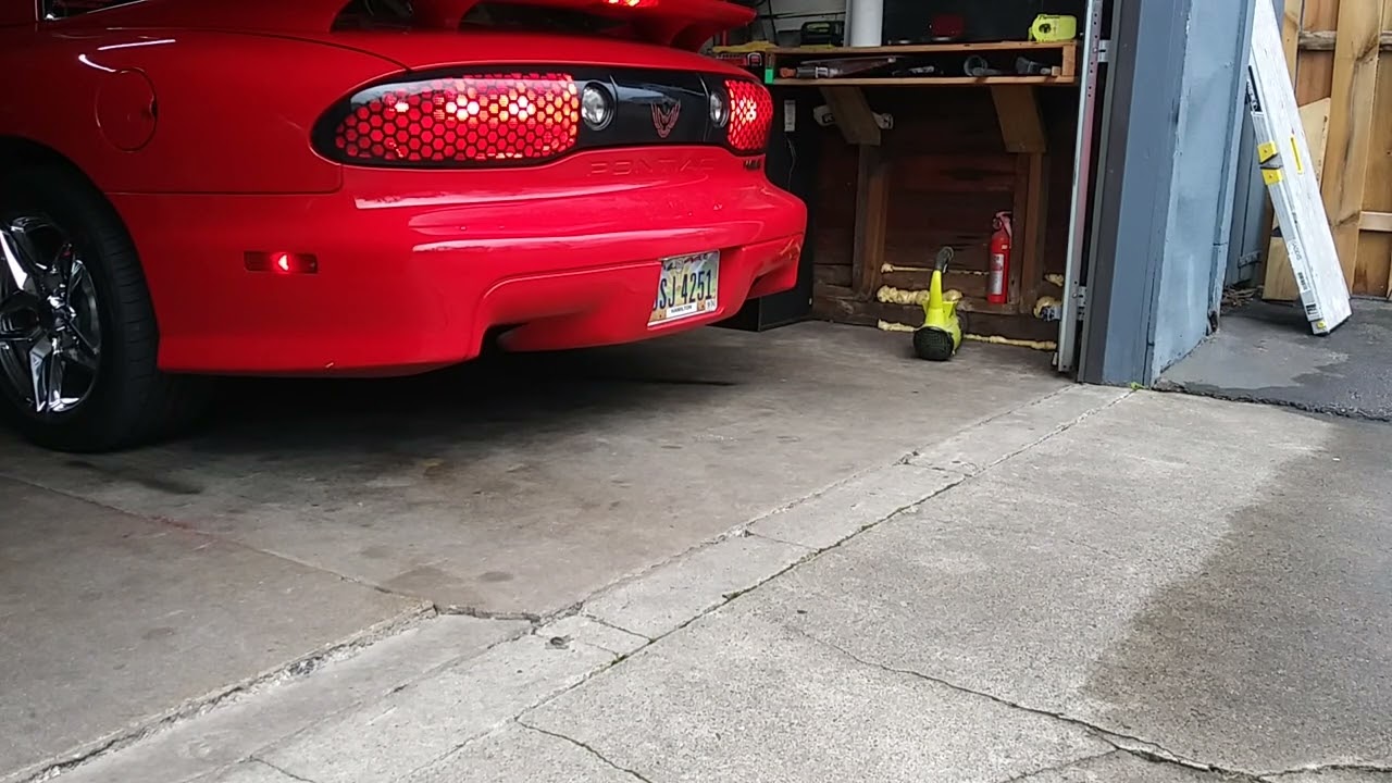 WS6 black horse single chamber muffler
