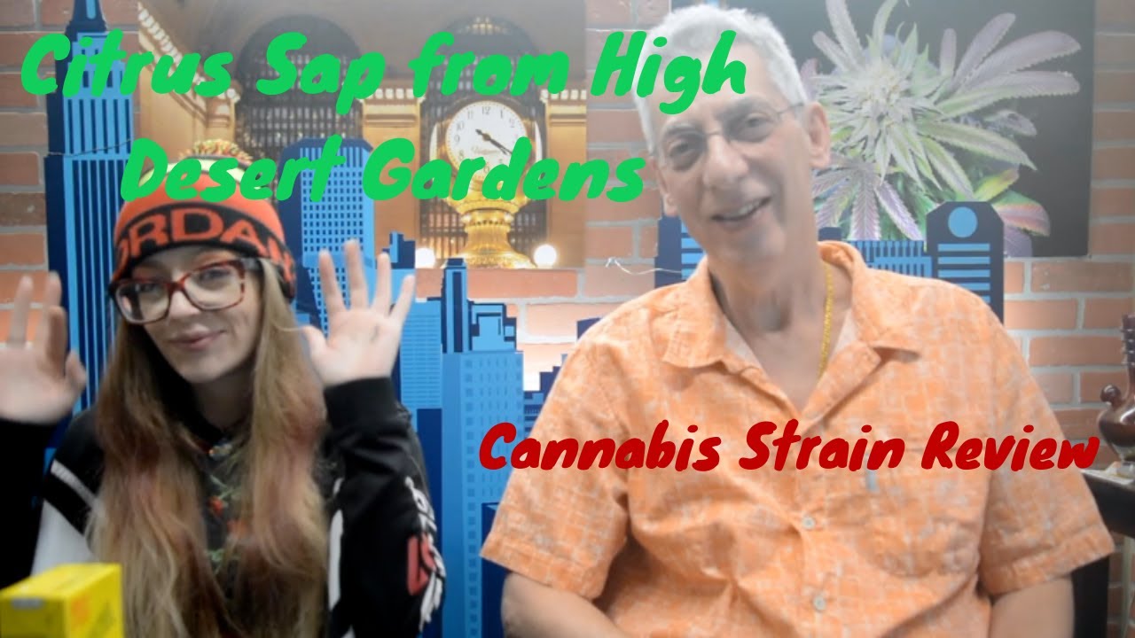Citrus Sap Cannabis Strain Review with MissMidas420x