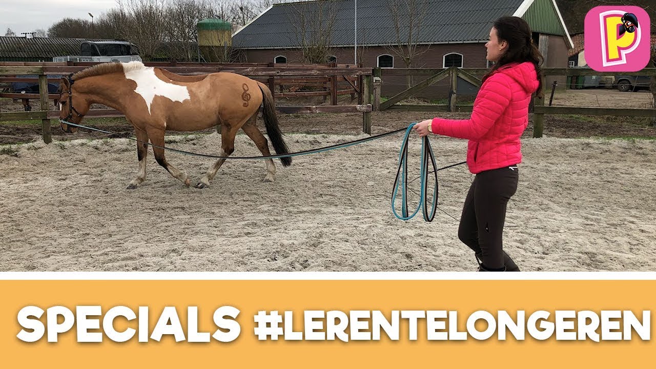 Leren te longeren | SPECIALS | Penny TV