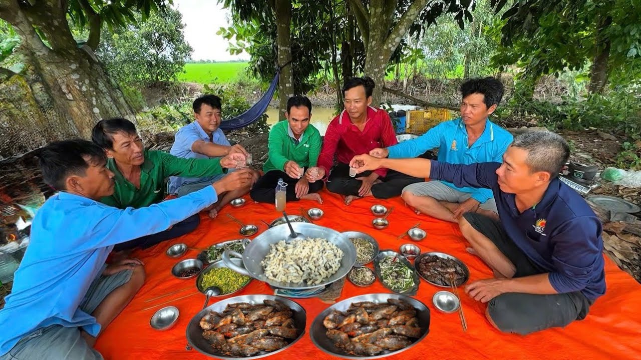 Cá Rô Đồng Hấp Nước Mắm Lai Rai Và Câu Chuyện Con Ong Của Anh Toàn | Mưu Sinh Miền Quê