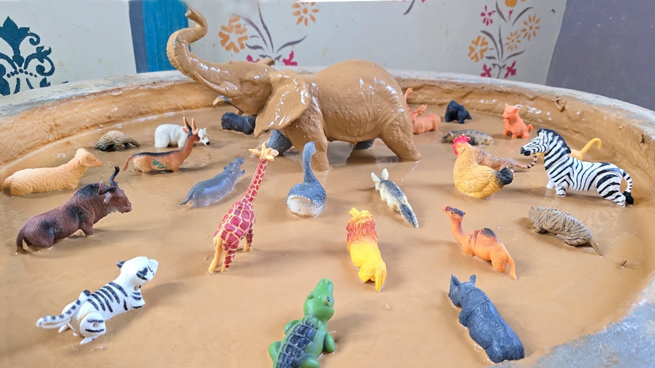 «Побег из грязи»: животные из джунглей, ферм и лесов попадают в беду из-за грязи.