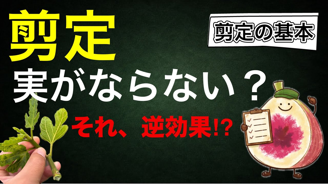 【初心者必見】剪定で実がならない本当の理由