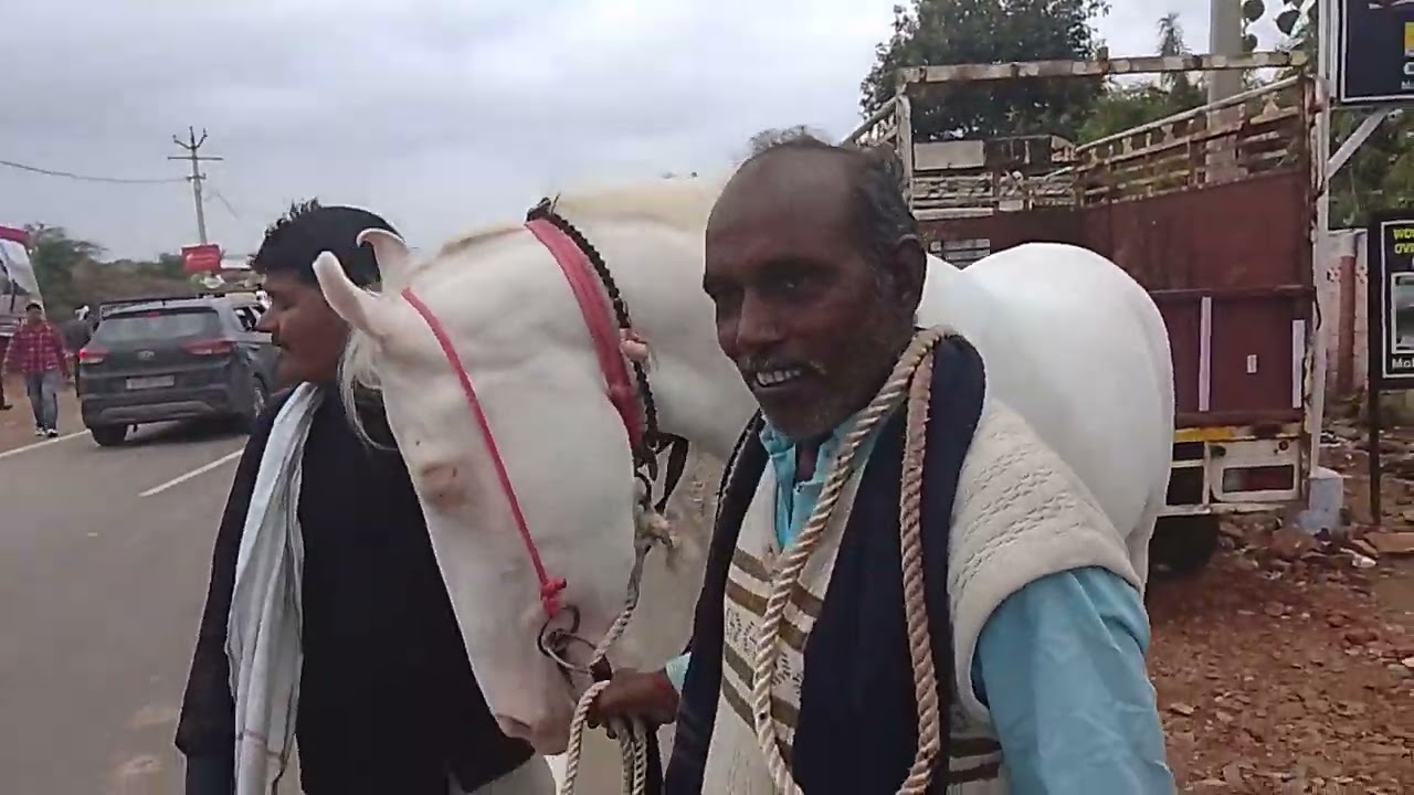 Mp se aai sabse badi naukri bachi #pushkarfair #pushkarfair2025 