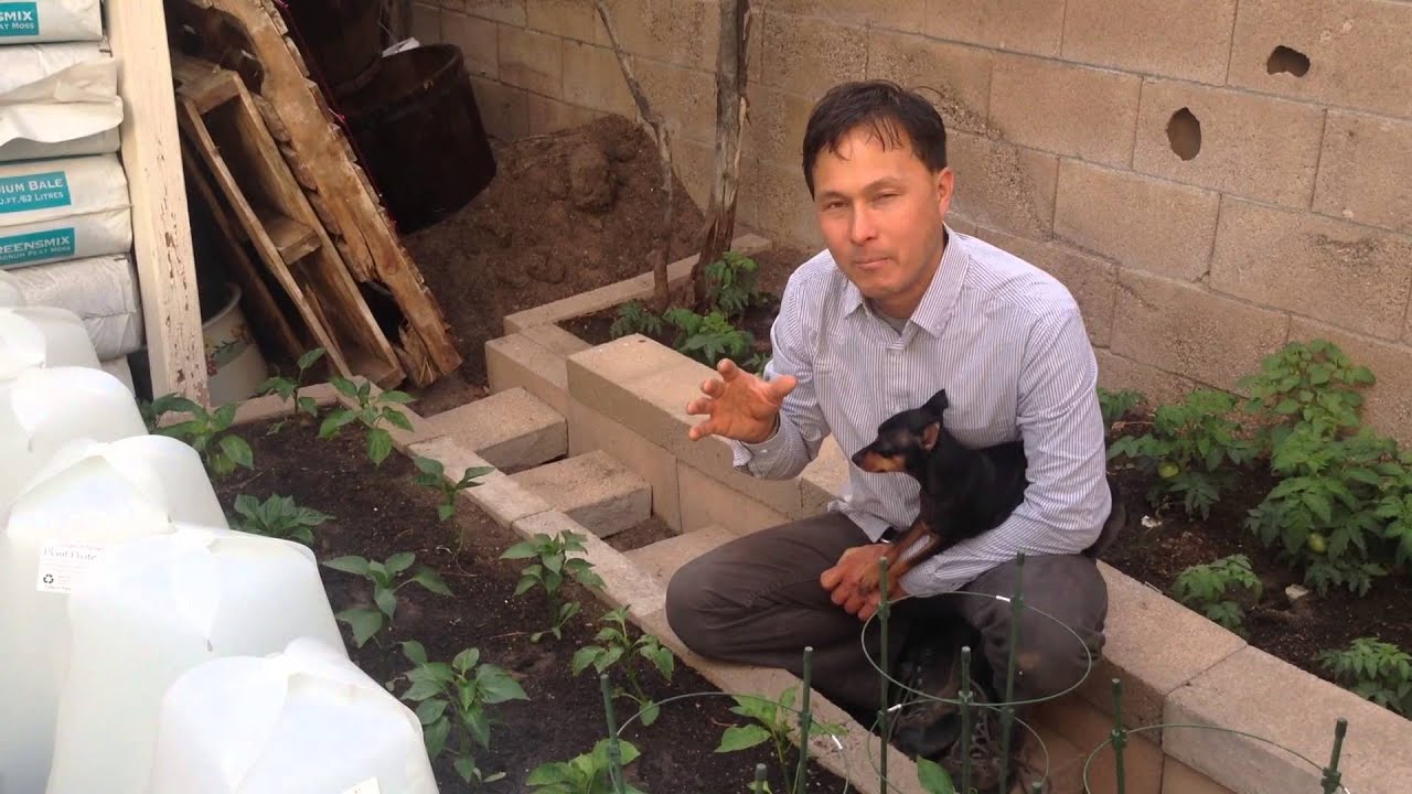 John Kohler Demonstrates How To Enhance Plant Growth By Doubling Miniature Greenhouses
