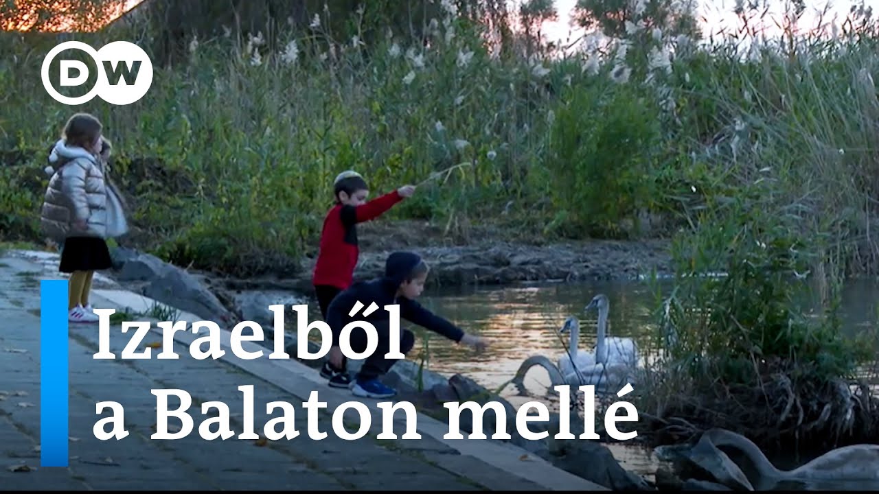 Ukrajnából Izraelbe, Izraelből Magyarországra | Izraeli zsidók menedéke a Balatonon
