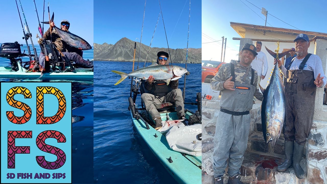 Epic Yellowfin Tuna & Yellowtail Fishing | Bahia Asuncion Baja California Sur Mexico | November 2024