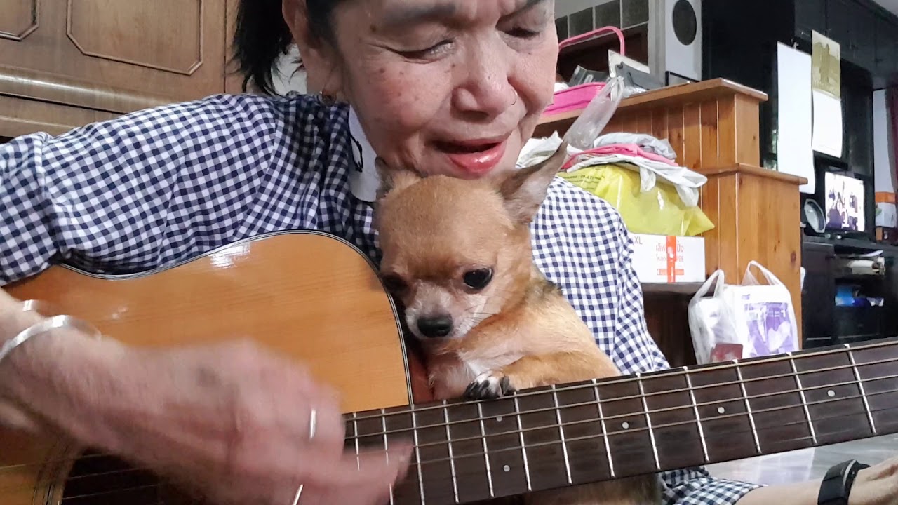 หญิงชรา กับ หมาน้อย Sha la la