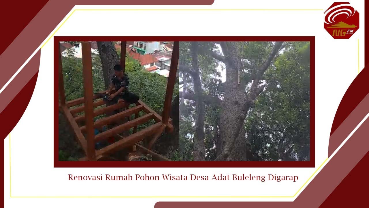 Renovasi Rumah Pohon Wisata Desa Adat Buleleng Digarap