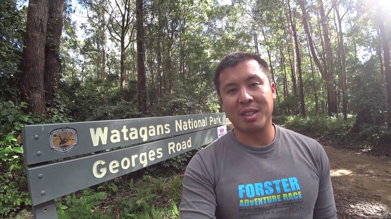 Watagans National Park - Georges Road to Barraba Campsite