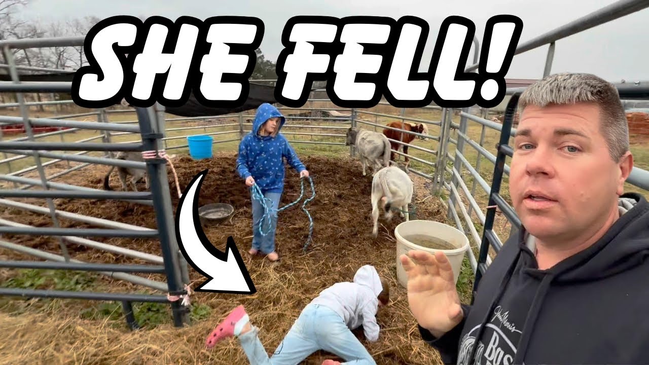 Overpowered By A Bull! There Was Nothing She Could Do!