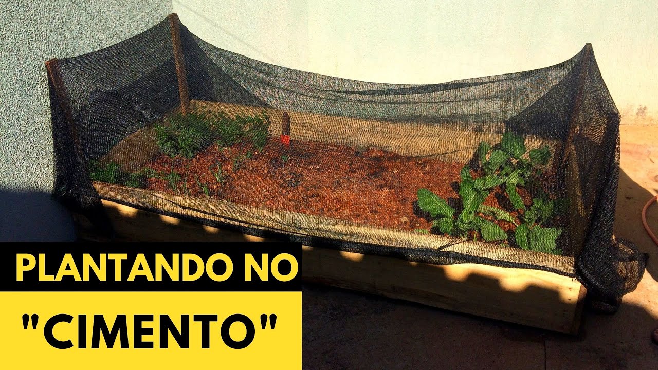 CANTEIRO EM CIMA DO CIMENTO!