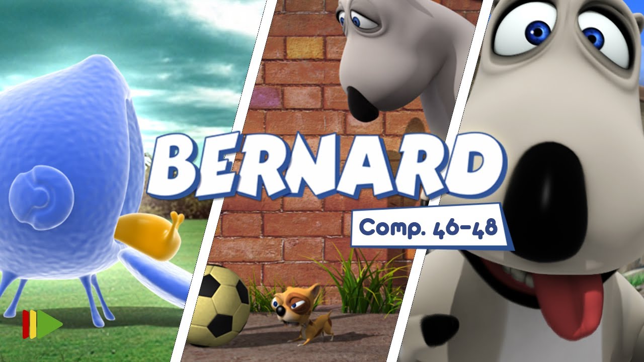 Бернард - 46-48 | Compilation  | Мультфильмы |