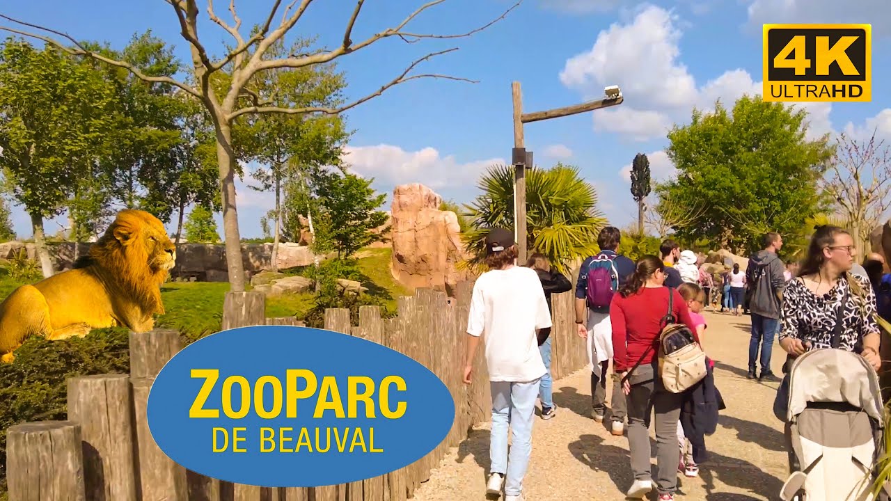 France  🇫🇷 - Zooparc de Beauval - May 2022 - 4K HDR ( P2 ) | A Walk In Paris