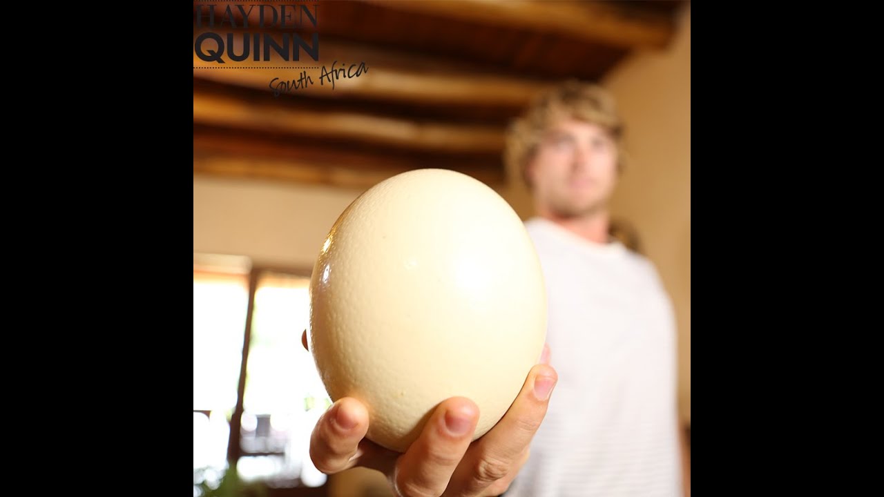 Hayden Quinn and a delicious ostrich egg frittata!