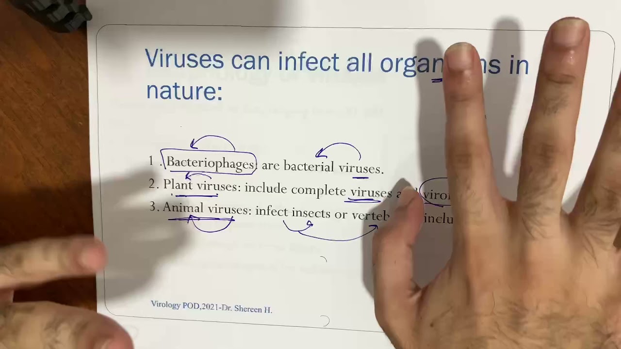 General Virology | Dr Amr Abdallah