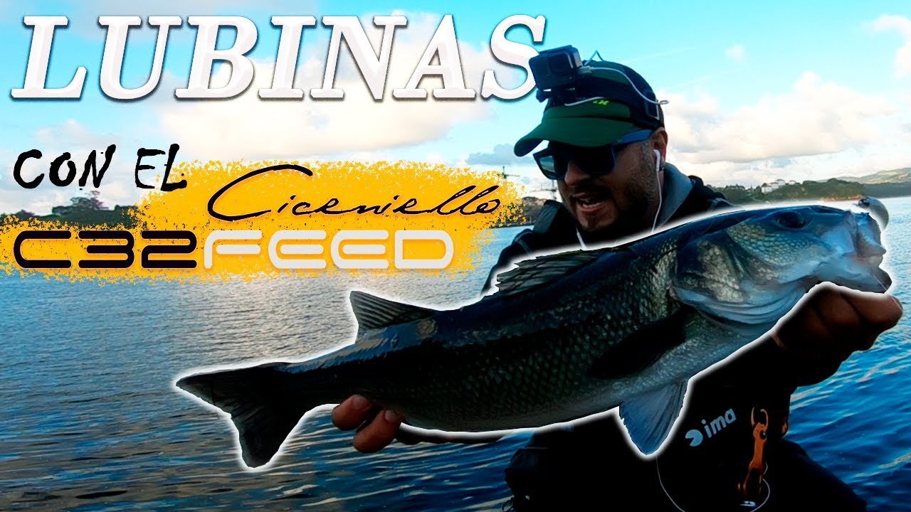 PESCANDO LUBINAS EN EL NORTE💚💚💚 PESCA EN PUERTOS 💥💥💥/RA'IS C32FEED a CHEBURASKA RIG