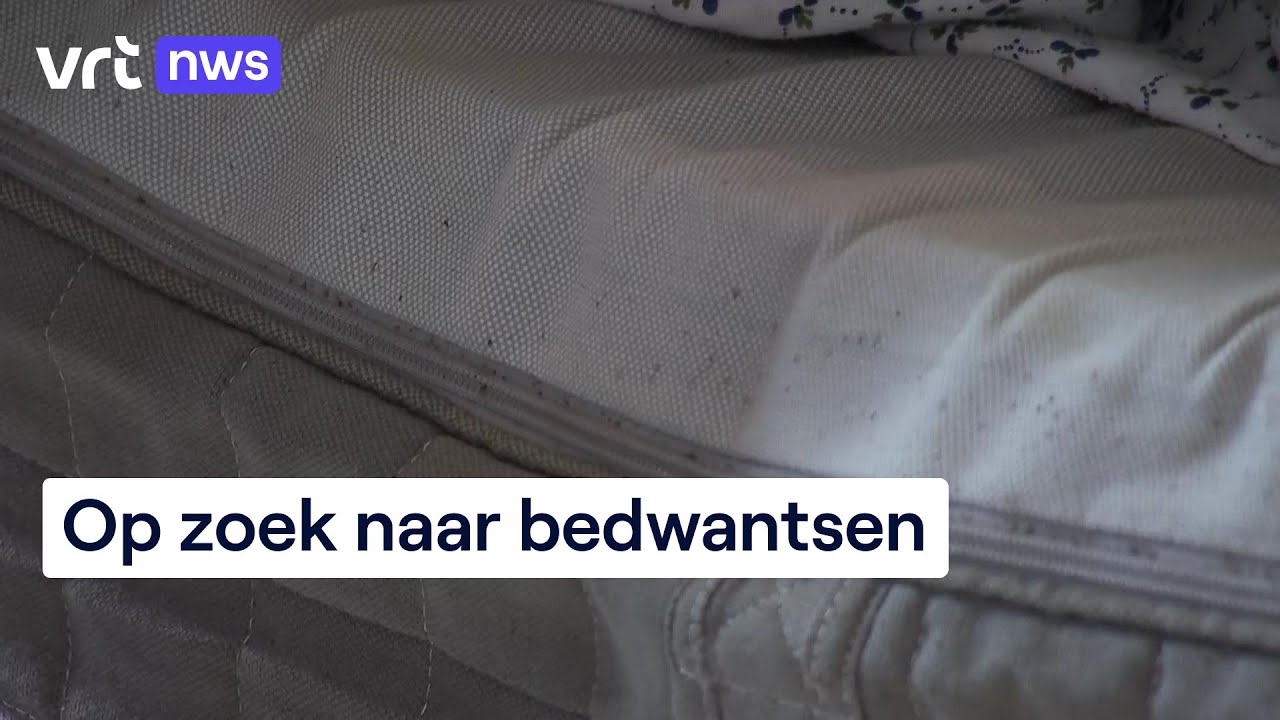 Steeds meer bedwantsen: hoe werkt een bestrijdingsfirma?