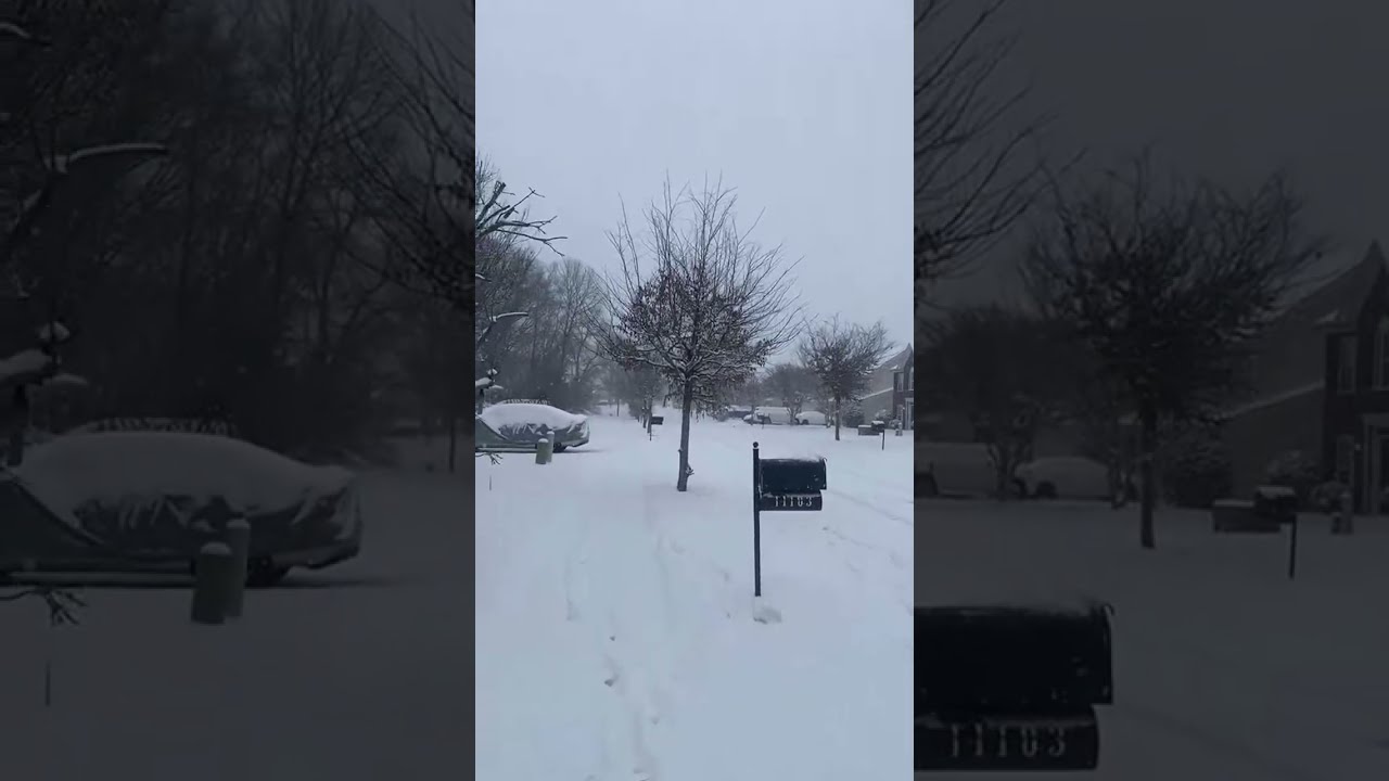 Let it snow live!