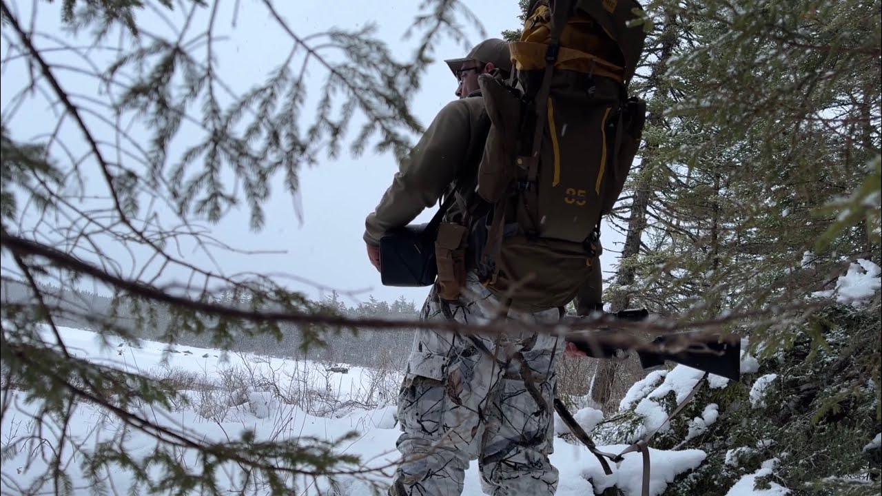 Coyote hunting: gear walk through 