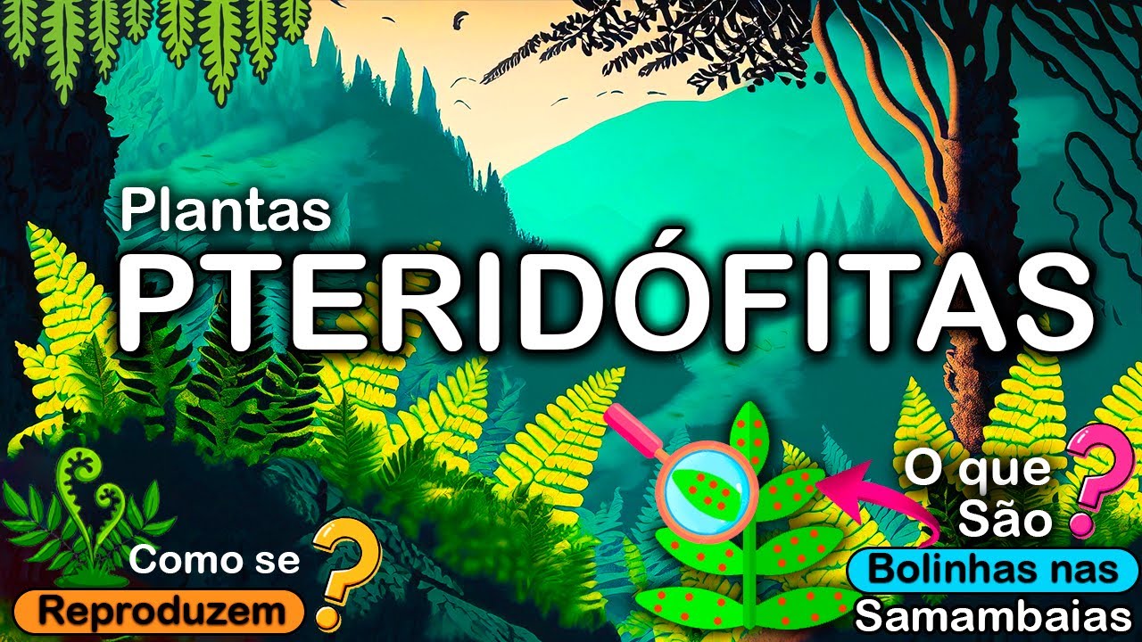 PTERIDÓFITAS – O GRUPO DAS SAMAMBAIAS, CONSIDERADAS FÓSSEIS VIVOS.