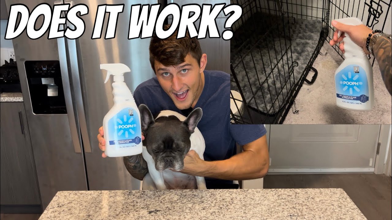 Pooph odor and stain remover!