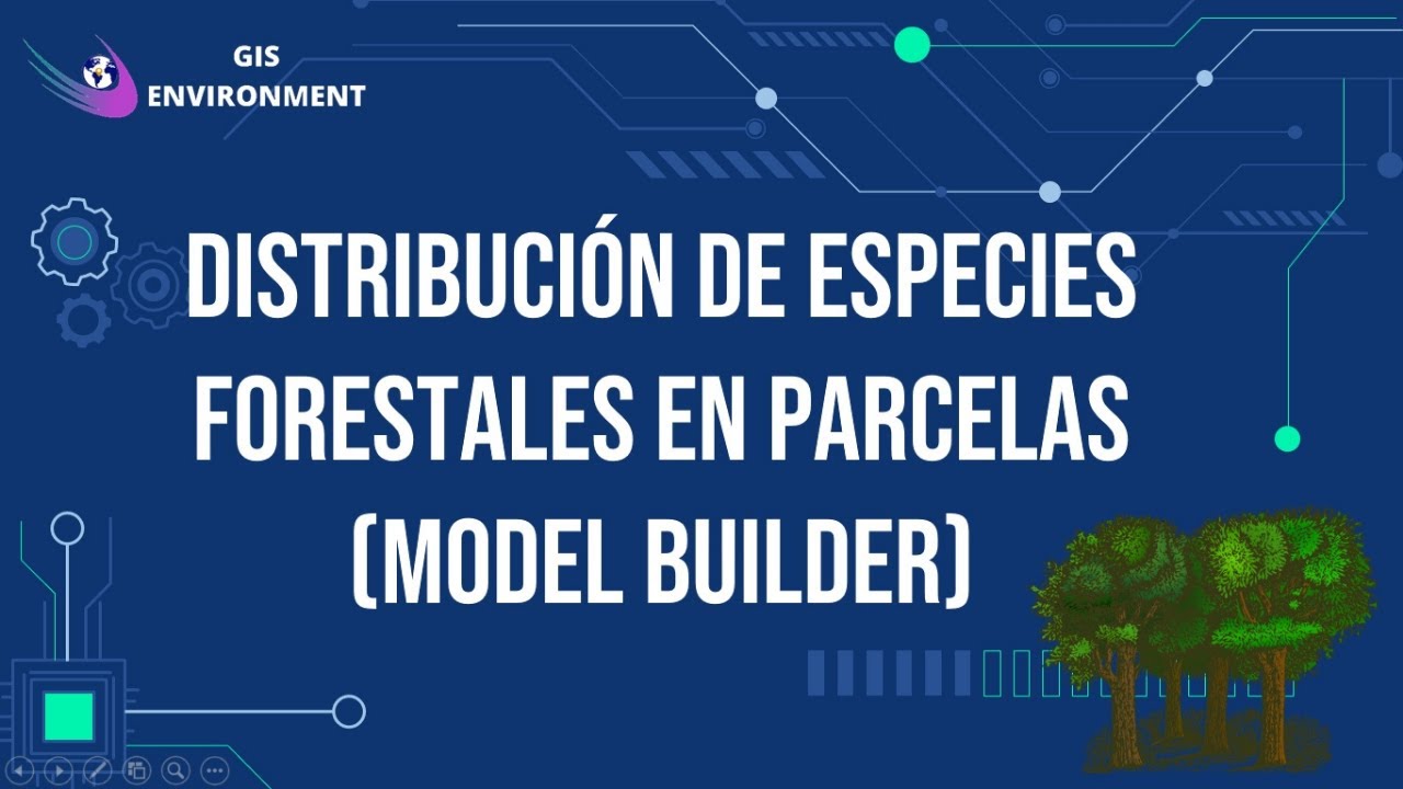 Distribución de Especies Forestales en Parcelas - Aplicación del Model Builder 🌳🌲💹