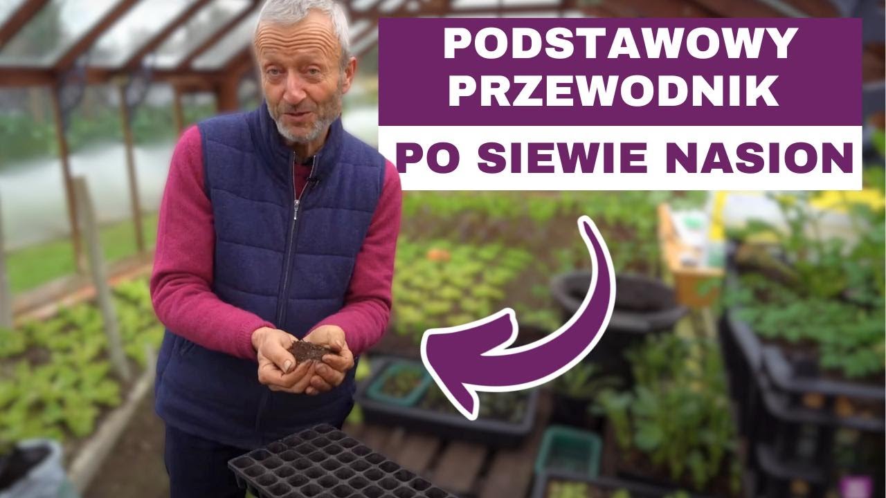 Wprowadzenie do siewu nasion
